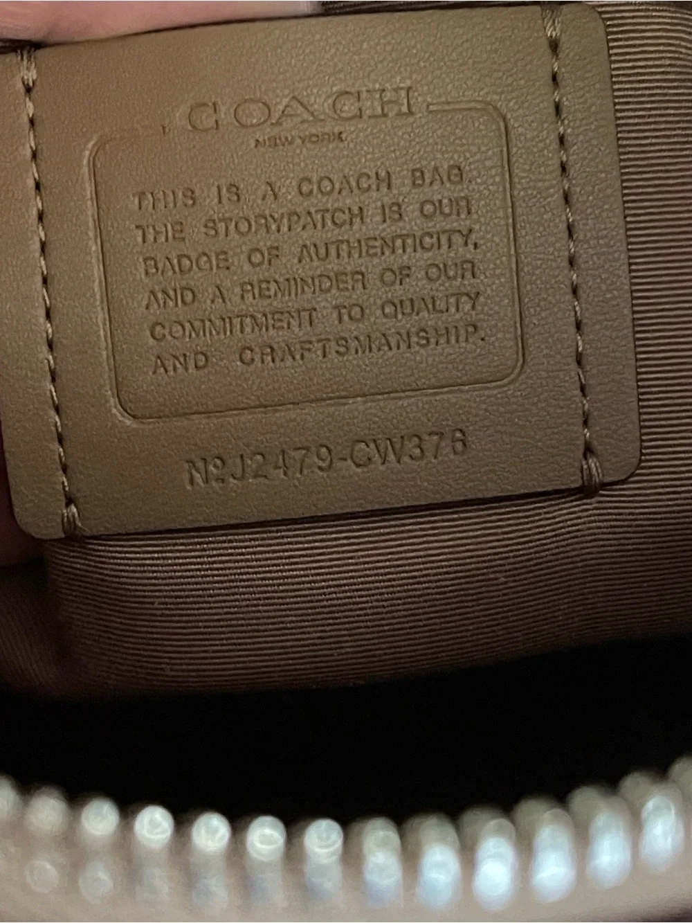Coach Rowan Satchel with Stipe & NWT Matching Wristlet